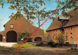 Liermolen - Museum Voor De Oudere Technieken - Grimbergen - Grimbergen