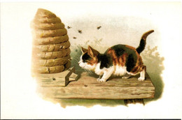 Chat- Cat -  Katze-   Poesje En Bijen - Repro - Cats