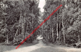 Wandeldreef Aan 't Fonteintje - Koersel - Beringen