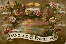 Le Langage Des Papillons * Carte Photo * Papillon Butterfly - Schmetterlinge