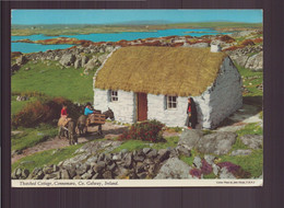 IRLANDE THATCHED COTTAGE - Galway
