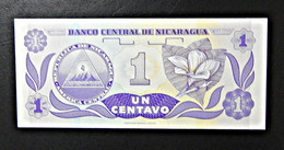 A4 NICARAGUA  BILLETS DU MONDE WORLD BANKNOTES  1 CENTAVO - Nicaragua