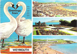 SCENES FROM WEYMOUTH, DORSET, ENGLAND. Circa 1973  USED POSTCARD Ls2 - Weymouth