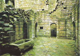 HERMITAGE CASTLE, ROXBURGHSHIRE, SCOTLAND. USED POSTCARD Ls2 - Roxburghshire