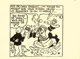 Tintin & Milou , Hergé * CPA Pirate Illustrateur * Savon SOAP ! * BD - Cómics