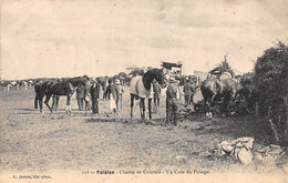 Falaise        14          Champ De Courses. Un Coin Du Pesage. Hippisme         (voir Scan) - Falaise