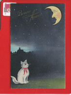 Jolie CPA  Chat Blanc Expressif Face Lune Chaton Cat Katze  LUNE BONNE ANNÉE NUIT BEAU DESSIN Montpellier à Valence - 1900-1949