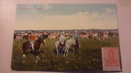 ARGENTINE ARGENTINA UN RODEO - Argentinien