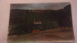 Delcampe - 25 SAINT HIPPOLYTE LA CHAPELLE DS LA VERDURE VOYAGEE - Saint Hippolyte