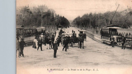 13 / MARSEILLE / LE PRADO VU DE LA PLAGE / 2 TRAMWAYS EN TENUE D ETE - Castellane, Prado, Menpenti, Rouet