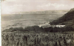 62-CAP GRIS-NEZ -,LA SIRENE 47-VUE VERS LE CAP BLANC-NEZ - Wissant