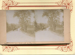 ENVIRON D ARRADON  *** CONLEAU *** UN ATTELAGE  ROUTE DE ROGUEDAS LE 05 JUIN 1904*** PHOTO STEREO *** - Arradon