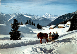 Riederalp-Bettmeralp (16902) * 1975 - Bettmeralp