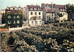 Vignes - Paris - La Vigne De Montmartre, Dont La  Vendange Donne Lieu à Une Fête Traditionnelle - Automobiles - 2CV - CP - Vines