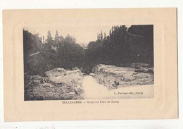 CPA  France 01 - Bellegarde - Gorges Et Pont Due Lucey  :  Achat Immédiat - Bellegarde-sur-Valserine