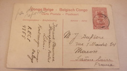 Congo Belge - Carte Postale Leopard  - Entier Postaux - Oblit Likasi - Exp Vers Macon France - Autres & Non Classés