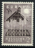 België 1025-Cu ** - Europa 1957 - Palmboom Rechts - Oddities