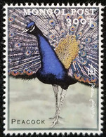 WITHDRAWN ISSUE Peacock From Charles Darwin Exploration, Nature, Millennium 2000 Mongolia MNH READ Description - Pfauen