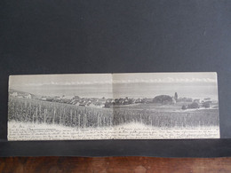 CPA - Carte Double - Vue Panoramique D'Auvernier - Auvernier