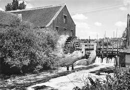 E180 - Scherpenheuvel-Zichem Watermolen De Grote Molen - Molen - Moulin - Mill - Mühle - Scherpenheuvel-Zichem