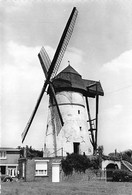 E184 - Denderwindeke Ninove - Molen - Moulin - Mill - Mühle - Ninove