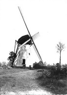 E187 - Mol Ezaart Stenen Windmolen - Molen - Moulin - Mill - Mühle - Mol