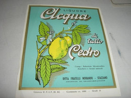 ETICHETTA LIQUORE ACQUA DI TUTTO CEDRO - Alcoholen & Sterke Drank