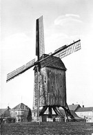 E208 - Leisele Alveringem Stalijzermolen - Molen - Moulin - Mill - Mühle - Alveringem