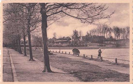 Nivelles - Plaine Reine Astrid - Le Lac - Pêcheur - Pas Circulé - Animée - Nels - TBE - Nivelles