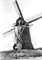 E221 - Roksem Oudenburg Witte Molen - Molen - Moulin - Mill - Mühle - Oudenburg