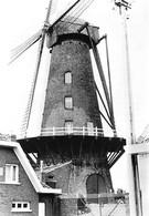 E223 - Hulste Harelbeke Muizelmolen - Molen - Moulin - Mill - Mühle - Harelbeke