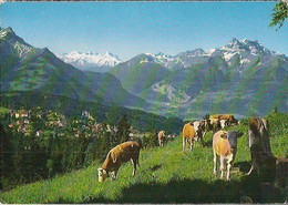 SUISSE -VILLARS S/OLLON ET LES DENTS DU MIDI. - Ollon