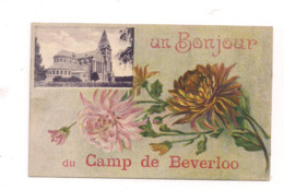 Belgique Un Bonjour De BEVERLO .  Oblitération Sur Carte Postale LEOPOLDSBURG 1924 - Leopoldsburg