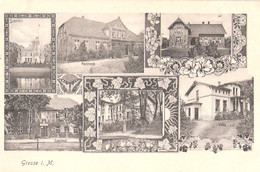 GRESSE Bei Boizenburg Vellahn Hagenow Gasthof Pastorat Villa Schloß Administration Jugendstil 3.8.1909 Gelaufen1 - Boizenburg