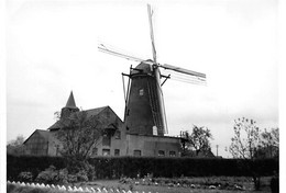 E239 - Weelde Ravels - Molen - Moulin - Mill - Mühle - FOTO - - Ravels