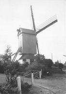 E244 - Knesselare Aalter Pietendriesmolen - Molen - Moulin - Mill - Mühle - Knesselare