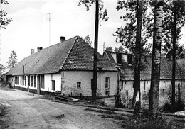 E247 - Moortsele Oosterzele Watermolen - Molen - Moulin - Mill - Mühle - Oudenaarde