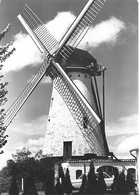 E249 - Poeke Aalter Hartemeerschmolen - Molen - Moulin - Mill - Mühle - Aalter