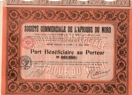 SOCIETE COMMERCIALE DE L'AFRIQUE DU NORD -PART BENEFICIAIRE  -ANNEE 1919 - Afrika