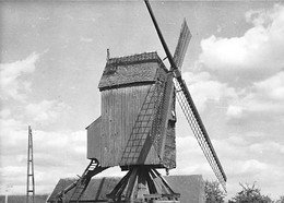 E254 - Vrasene Beveren Ter Biestmolen - Molen - Moulin - Mill - Mühle - Beveren-Waas