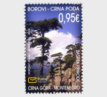 Montenegro 2014 S - Nature Protection - Pines - Black Poda - Montenegro