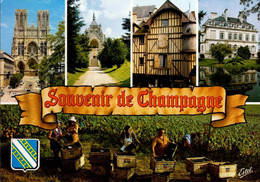 SOUVENIR DE CHAMPAGNE . MULTI-VUES - Champagne-Ardenne