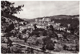 1957 CARDA       AREZZO - Arezzo