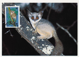 TANZANIE - 4 Cartes Maximum - Série "Galago" (Primates) - 24 Janvier 1989 - Dar Es Salam - Tanzanie (1964-...)