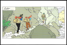 Carte Postale/Postkaart** - Tintin Au / Kuifje In / Tim In / Tintin In - Tibet - À L'occasion De L'expo 9/06-14/08 1994 - Philabédés (cómics)