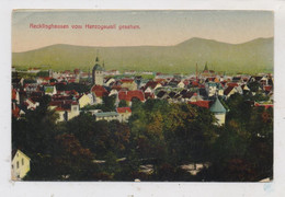 4350 RECKLINGHAUSEN, Blick Vom Herzogwall, 1923 - Recklinghausen