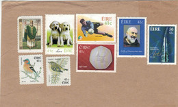 Irland Auf Briefstück Hund Fussball Münze Padre Pio Kunst Fringilla Coeleba - Regulus - Fheile Padraig - Eire - Cartas & Documentos