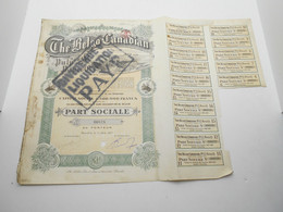 Part Sociale ." The Belgo Canadian Pulp & Paper Co " Bruxelles 1917 Reste Des Coupons N°06878 - Industrie