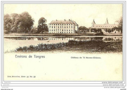 'S HEEREN - ELDEREN ..-- TONGRES ..-- Nels 42 , N° 29 . Le Château . - Tongeren