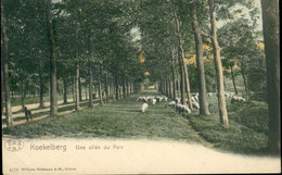 KOEKELBERG : Une Allée Du Parc / Kleurenkaart - Koekelberg